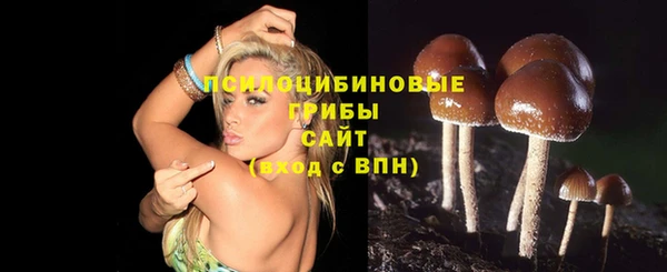 дживик Беломорск