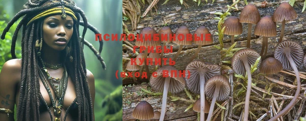 дживик Беломорск