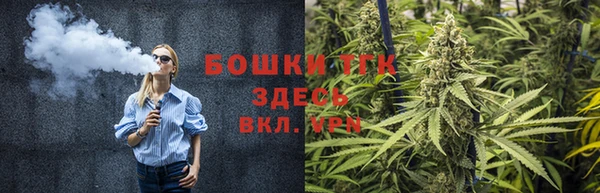 гашик Белоозёрский