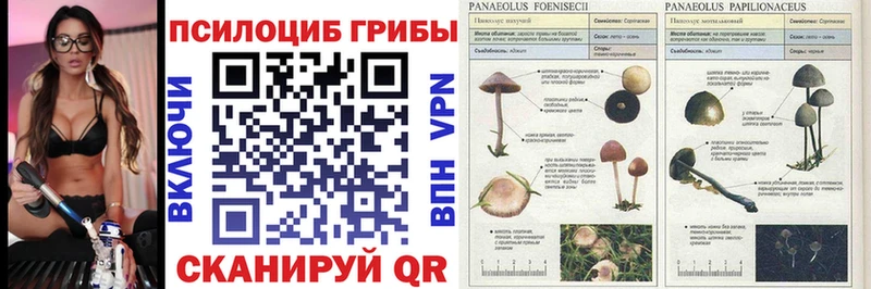 Галлюциногенные грибы мухоморы  Гороховец 